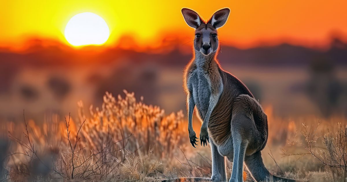 Key Updates to Australia Migration 2024-25